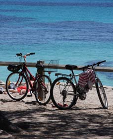 Parker Point Marine Snorkel Trail - Redcliffe Tourism 0