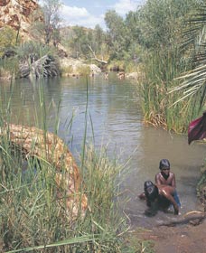 Palm Springs - Redcliffe Tourism 0