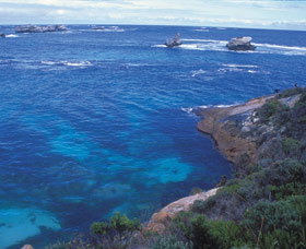 Cosy Corner - Redcliffe Tourism 0