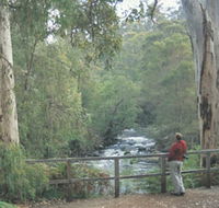 Cascades - Redcliffe Tourism