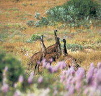 Jurabi Coastal Reserve - Redcliffe Tourism