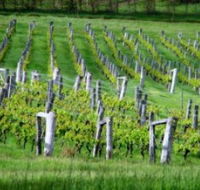 Sienna Estate Winery - Redcliffe Tourism
