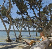 Stokes National Park - Redcliffe Tourism
