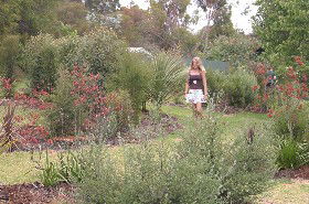 The Mythic Mazes - Redcliffe Tourism 0