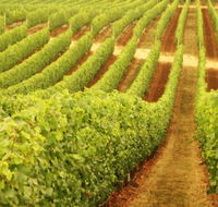 Xanadu Wines - Redcliffe Tourism