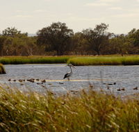 Anytime Adventures in Mandurah  the Peel Region - Redcliffe Tourism
