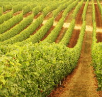 Fermoy Estate - Redcliffe Tourism