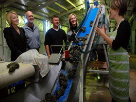 Eyre Peninsula's Seafood Trail - Redcliffe Tourism 0