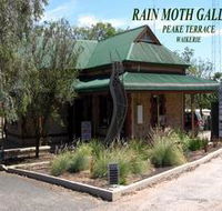 Rain Moth Gallery - Redcliffe Tourism