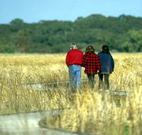 Onkaparinga River Recreation Park - Redcliffe Tourism
