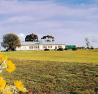 Lucindale Country Club - Redcliffe Tourism