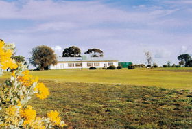 Lucindale Country Club - Redcliffe Tourism 0