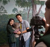 Cleland Wildlife Park - Redcliffe Tourism