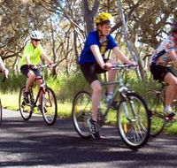 Penola Cycling Trails - Redcliffe Tourism