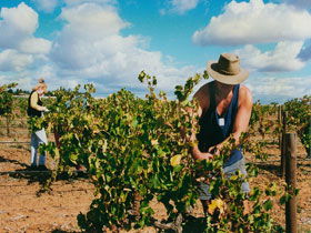 Torbreck Vintners - Redcliffe Tourism 0