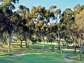 Tanunda Pines Golf Club - Redcliffe Tourism 0