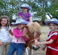 Amberainbow Pony Rides - Redcliffe Tourism