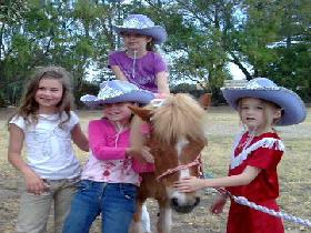 Amberainbow Pony Rides - Redcliffe Tourism 0