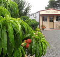 Gully Gardens - Redcliffe Tourism