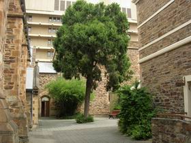 Flinders Street Baptist Church - Redcliffe Tourism 0