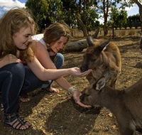 Kangaroo Island Wildlife Park - Redcliffe Tourism