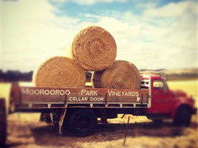 Moorooroo Park Vineyards - Redcliffe Tourism 0
