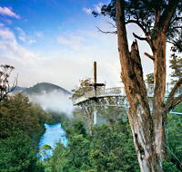 Tahune Adventures Tasmania - Redcliffe Tourism