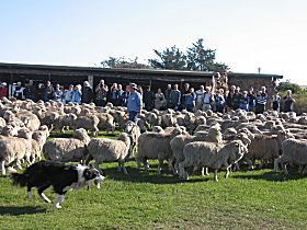 Curringa Farm - Accommodation And Farm Tours - Redcliffe Tourism 0