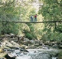 Arve Forest Drive - Redcliffe Tourism