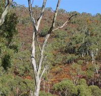 Black Hill Conservation Park - Redcliffe Tourism