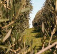 Evilo Estate - Redcliffe Tourism