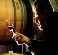 Salena Estate Wines - Redcliffe Tourism