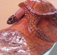 Ants Redgum Gallery - Redcliffe Tourism