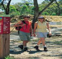 Riesling Trail - Redcliffe Tourism
