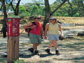 Riesling Trail - Redcliffe Tourism 0