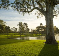 Serafino Wines - Redcliffe Tourism