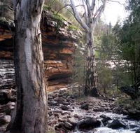Mount Remarkable National Park - Redcliffe Tourism