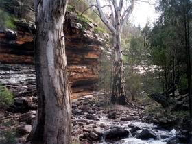 Mount Remarkable National Park - Redcliffe Tourism 0