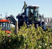 Ballast Stone Estate Wines Pty Ltd - Redcliffe Tourism