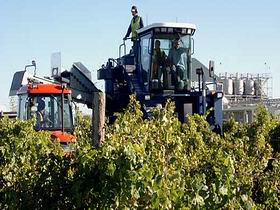 Ballast Stone Estate Wines Pty Ltd - Redcliffe Tourism 0