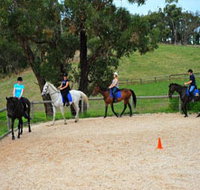 Megan Jones Riding School and Trail Rides - Redcliffe Tourism