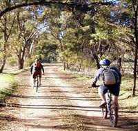 Bike About Mountain Bike Tours And Hire - Redcliffe Tourism