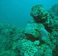 Adelaide's Underwater Heritage Trail - Redcliffe Tourism