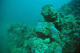 Adelaide's Underwater Heritage Trail - Redcliffe Tourism 0