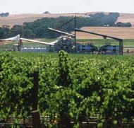 Kirrihill Wines - Redcliffe Tourism