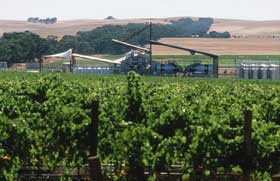 Kirrihill Wines - Redcliffe Tourism 0