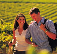 Lady Bay Vineyard - Redcliffe Tourism