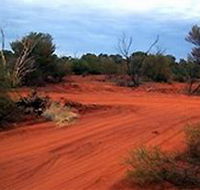 Tallaringa Conservation Park - Redcliffe Tourism