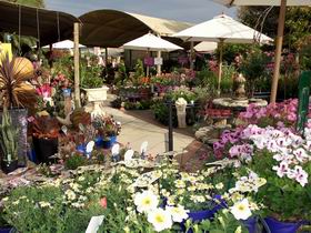 Serenity Nursery - Redcliffe Tourism 0