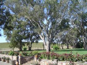 St Hallett Wines - Redcliffe Tourism 0